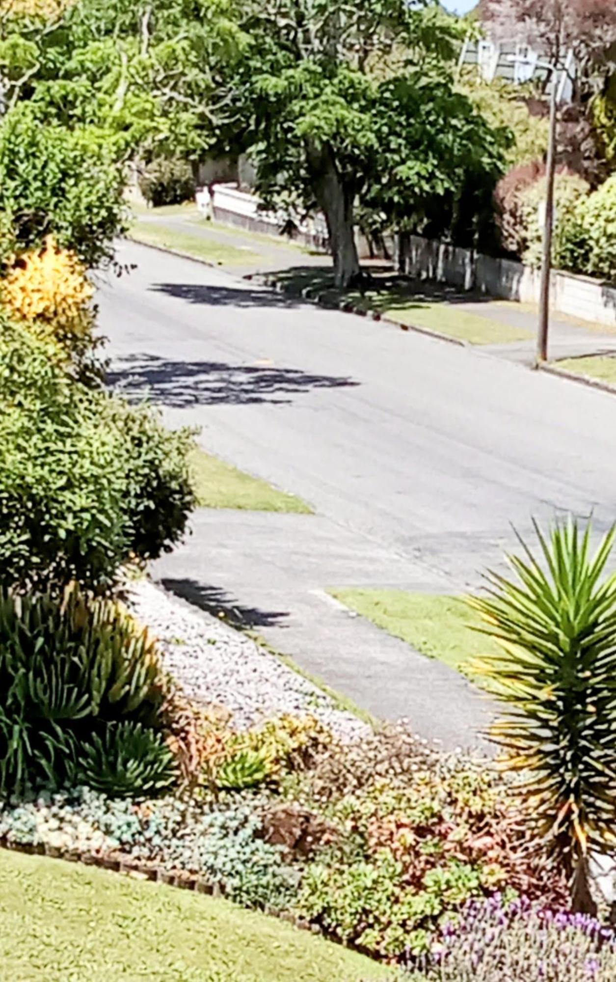 Park View 'Home Away From Home' Feilding Exteriér fotografie